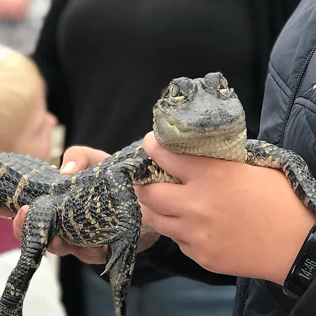 Nocleg ze śniadaniem Anettes Falster